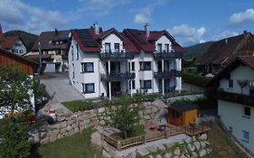 Ferienhaus Waldschatz Baiersbronn